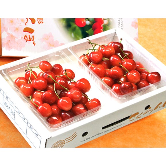 齋藤さんグループの超大粒佐藤錦』 さくらんぼ 秀品 山形県東根産 約