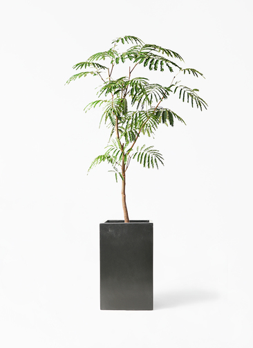 everfresh-61_1.jpg?1677475007