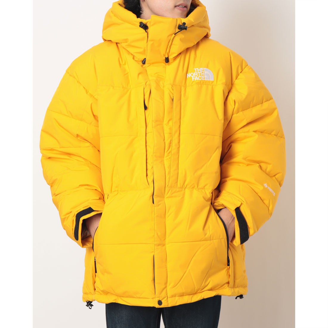 ザ・ノース・フェイス THE NORTH FACE アウトドアカジュアル ダウン