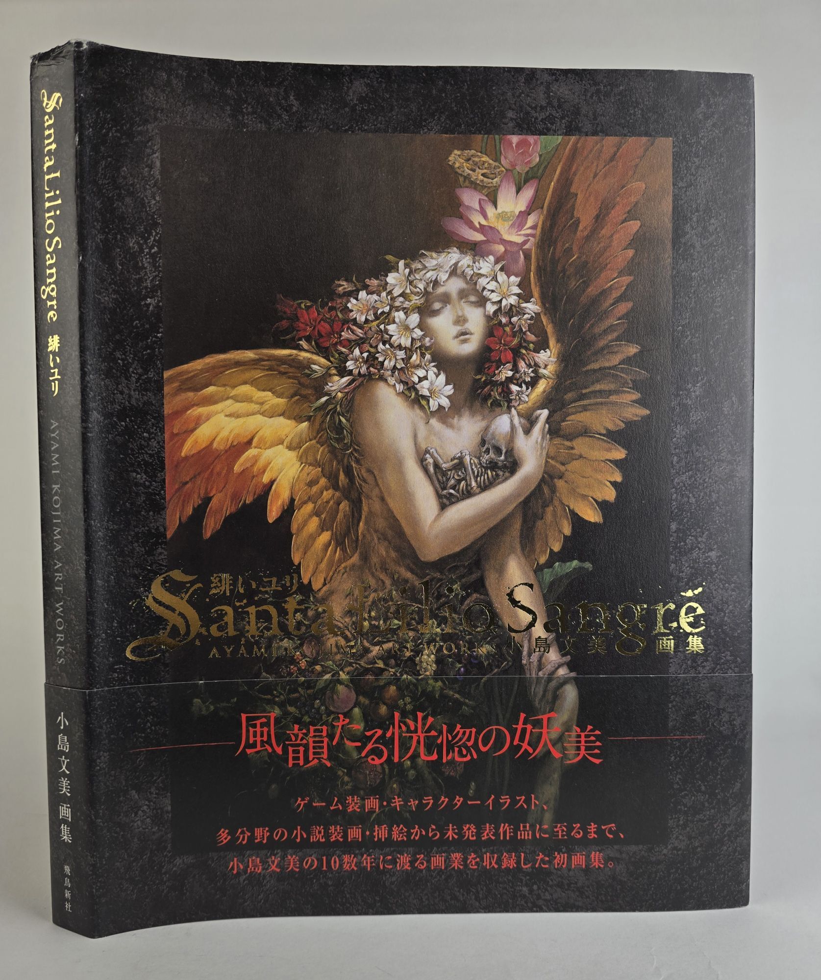 SANTA LILIO SANGRE SCARLET LILY: AYUMI KOJIMA ART BOOK | Ayami