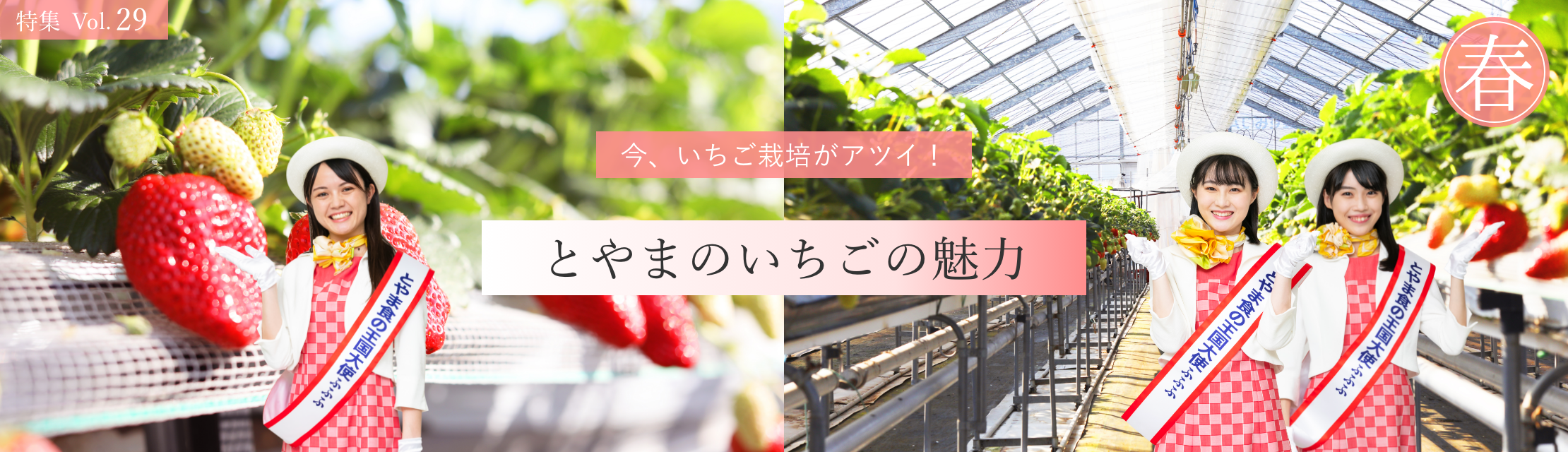 グルメ特集バックナンバー｜越中とやま食の王国 富山県の食文化を