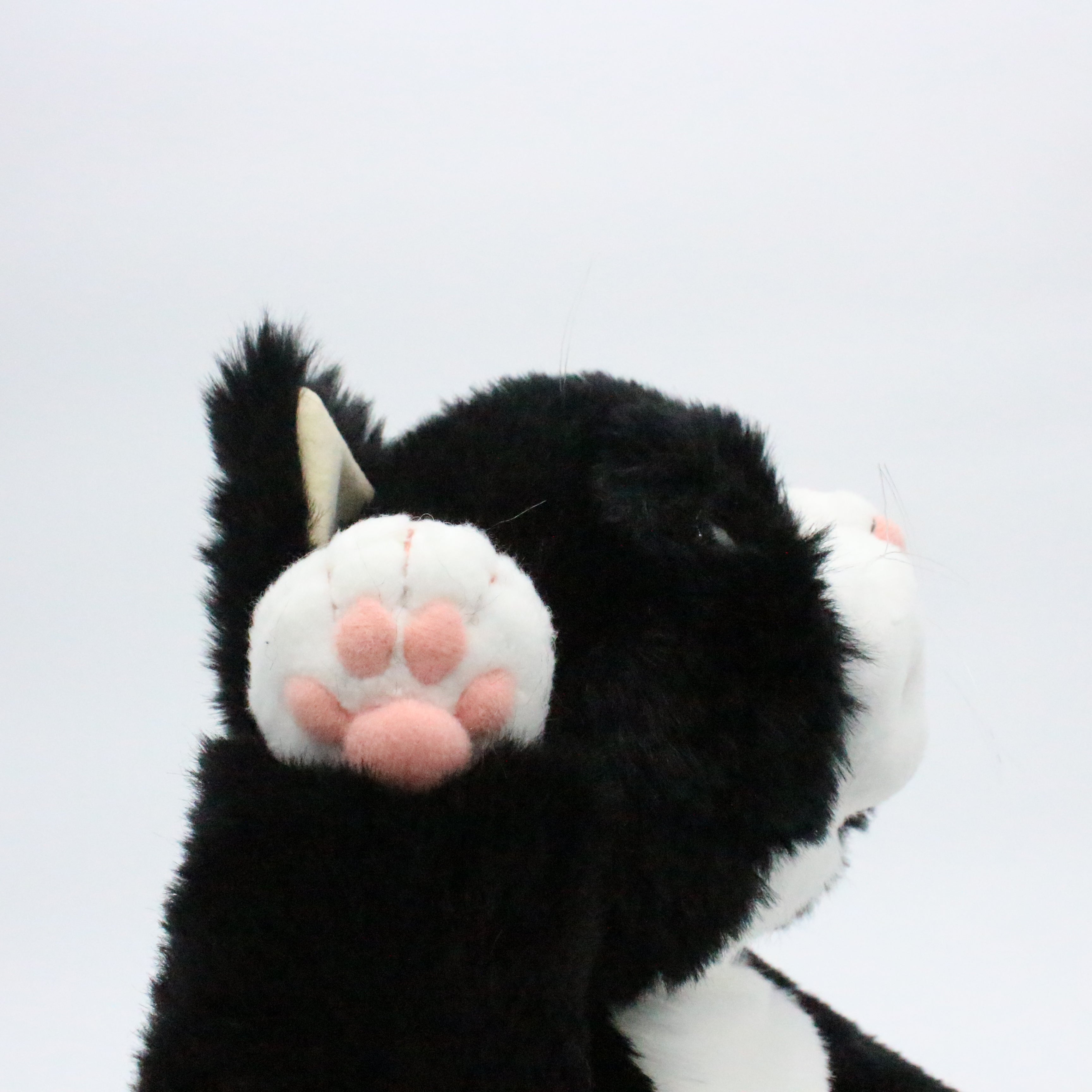 お振込み後の発送商品】Cuddly(カドリー) 甚五郎 – 鎌倉ねこサロン