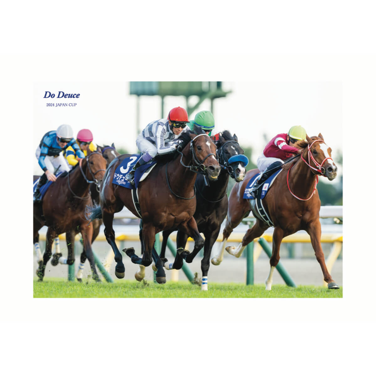 オリジナルポストカード ドウデュース ジャパンカップ2024 - 競馬