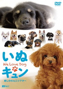 楽天市場】【コリタメ限定販売/新品/送料無料】犬とオオカミの時間