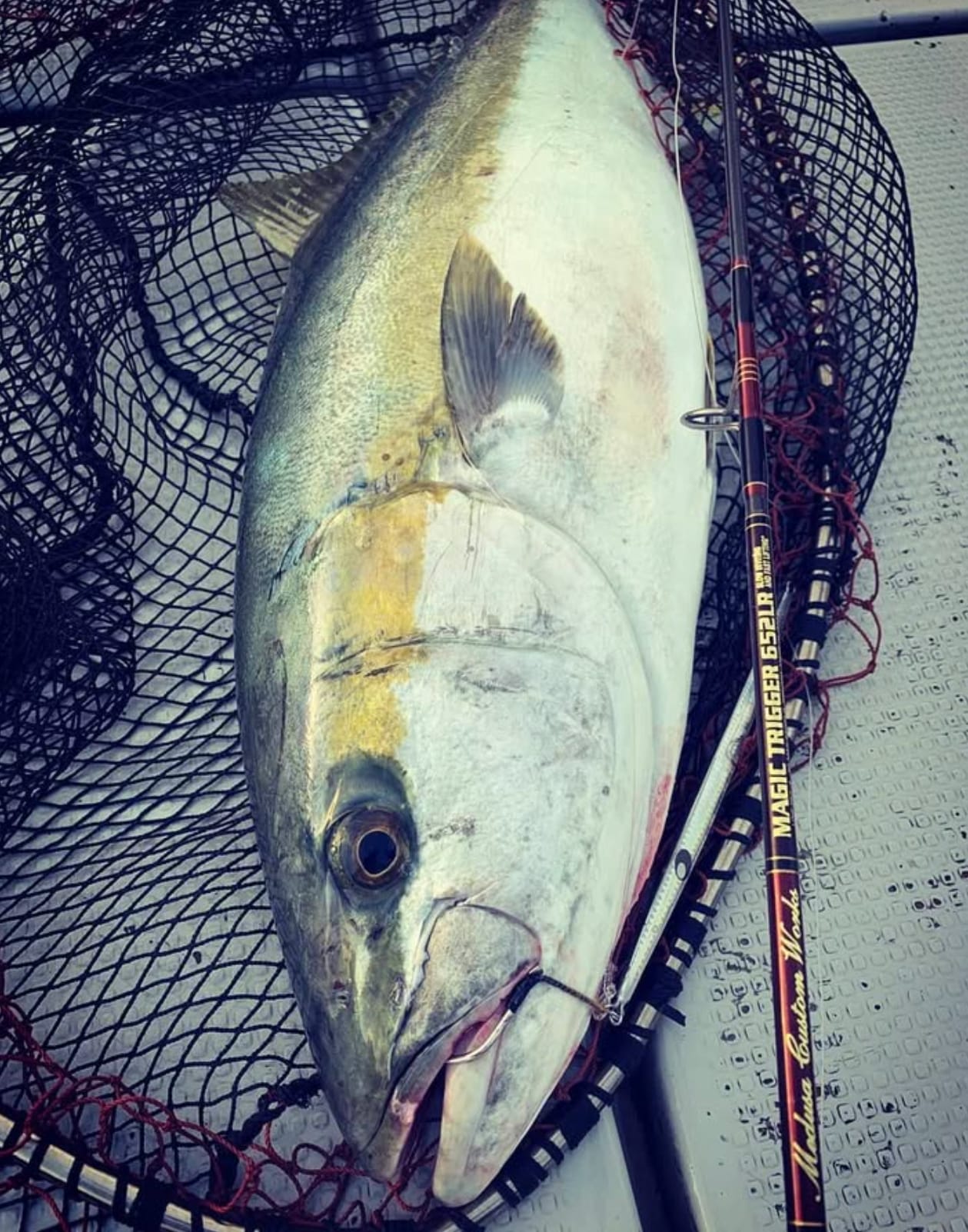 MC WORKS' Magic Trigger 652LR Jigging Rod MT652LR