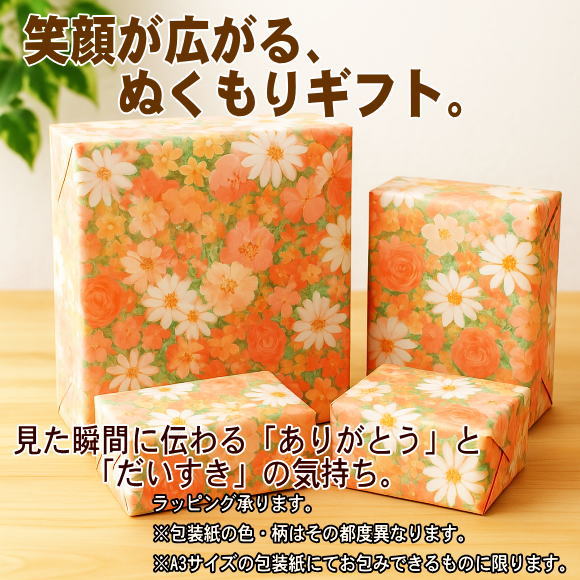 ソニーミュージック（Sony Music） 天地真理 プレミアム・ボックス