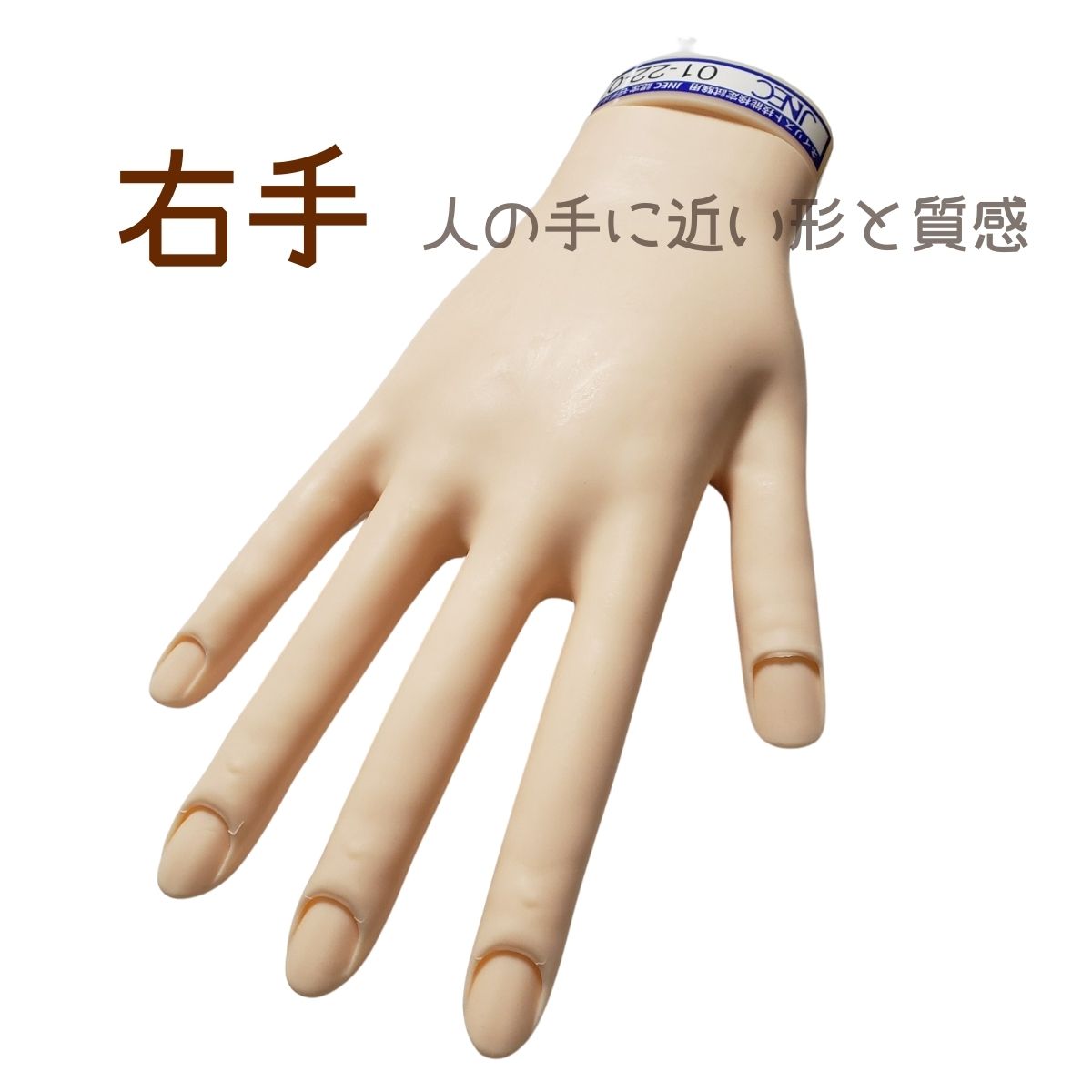 滝川（TAKIGAWA） JNEC認定ハンド STモデルハンド 右手 ネイルチップ