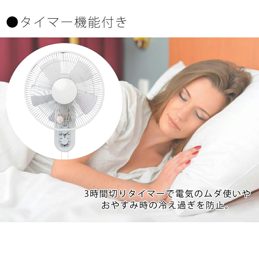 TEKNOS（テクノス） 扇風機 2025 壁掛け扇風機 壁掛け 30cm 5枚羽根