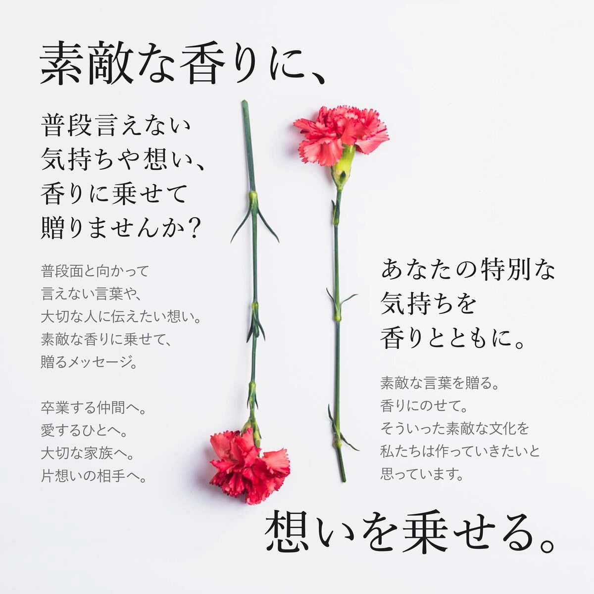 新品 ◇カルバンクライン CK one 100ml×3本◇送料込◇外フィルムなし