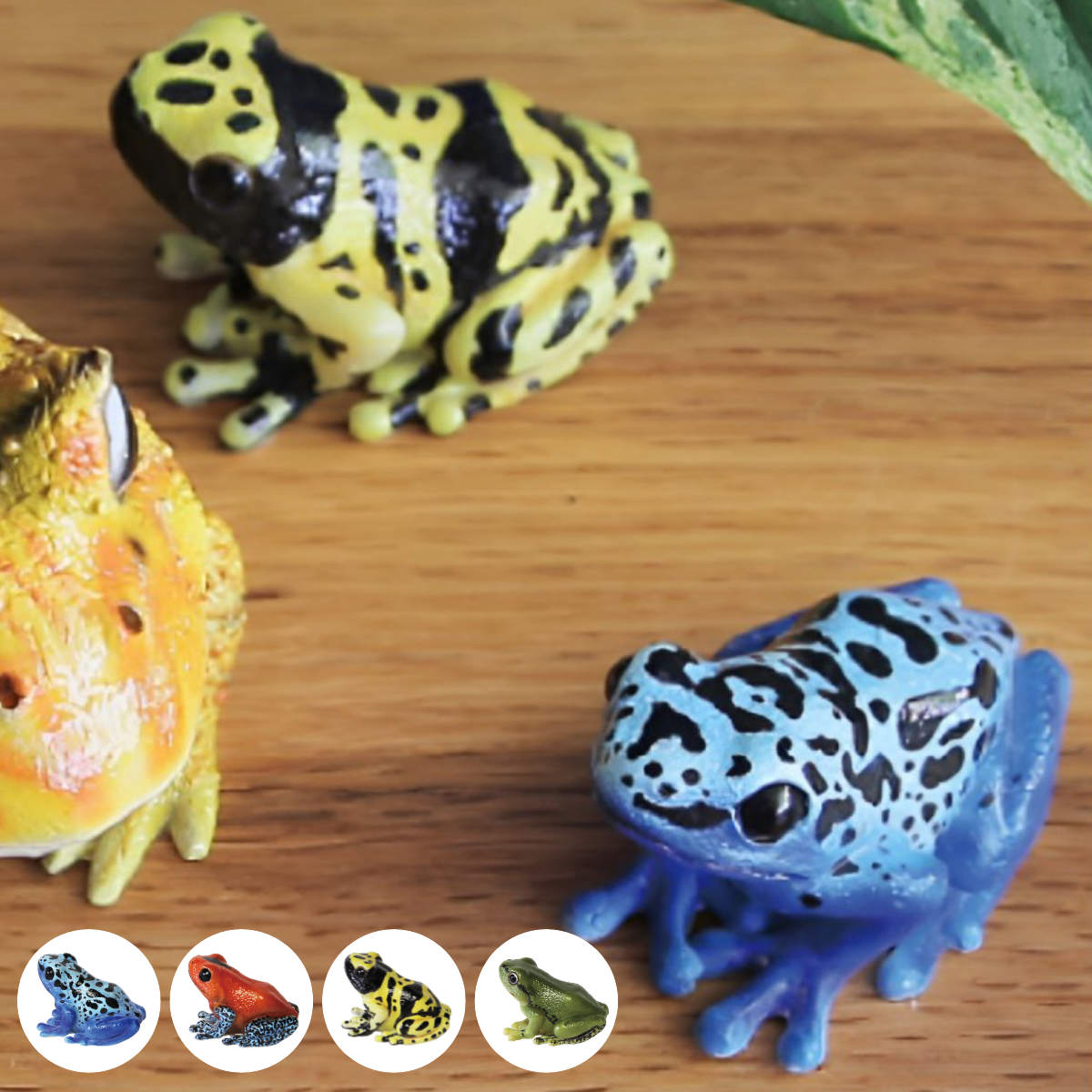 magnet オブジェ REPTILES MAG ヤドクガエル アマガエル （ クリップ