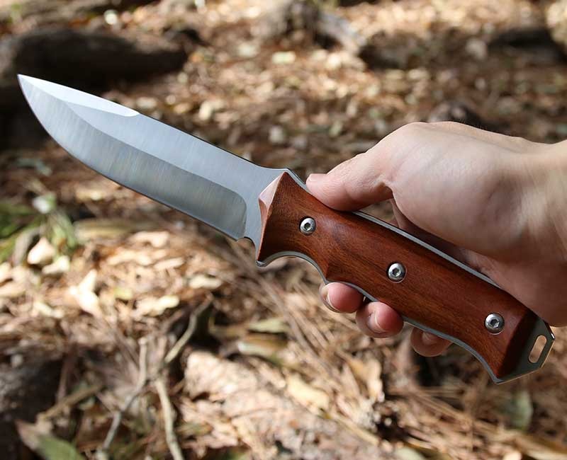 ダイワ カーボウィスカー尖閣 100号484/E641L クエ竿 美品 : 釣king