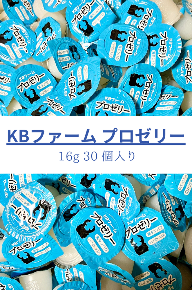 昆虫ゼリー プロゼリー 16g 30個 KBファーム バナナ風味 高タンパク質
