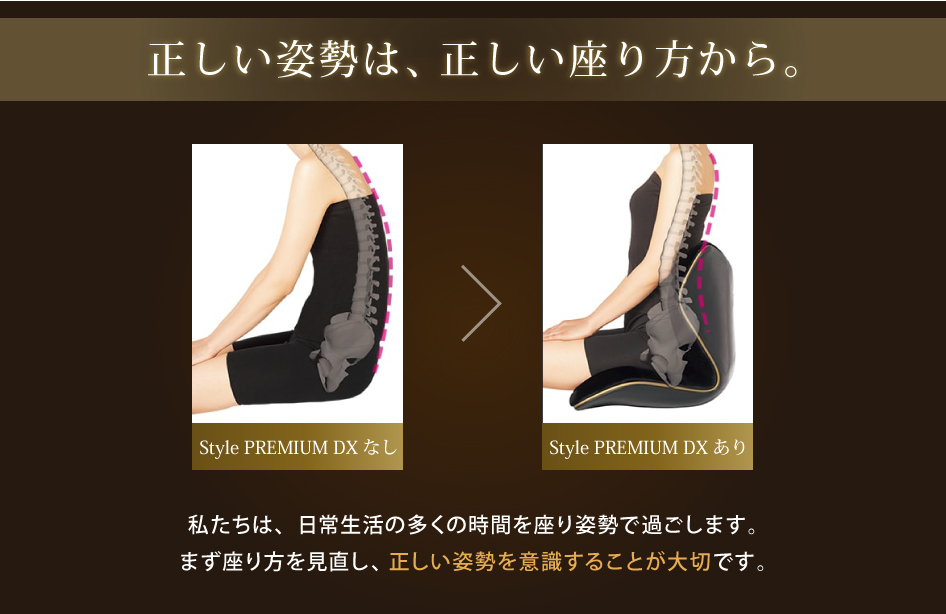 6/3頃発送】スタイルプレミアム デラックス Style PREMIUM DX Style