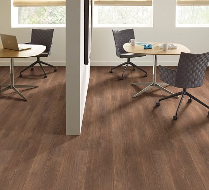 FeeKaa 20L コンベクションオーブン 黒 ゴールドアクセント FeeKaa 20L