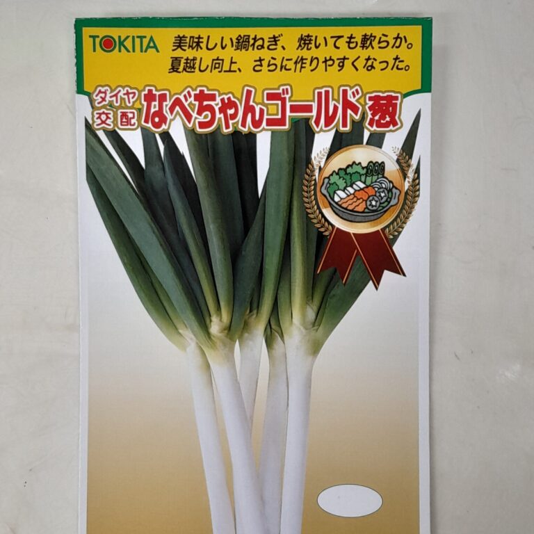 ネギ - 野菜の種の通販サイトしまむら種苗ネットショップ｜さいたま市緑区