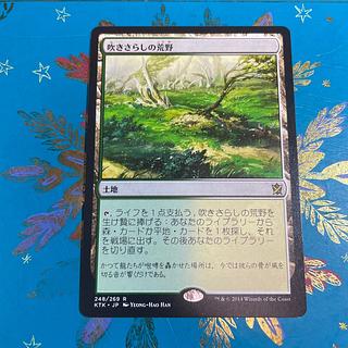 吹きさらしの荒野」の激安通販 | magi