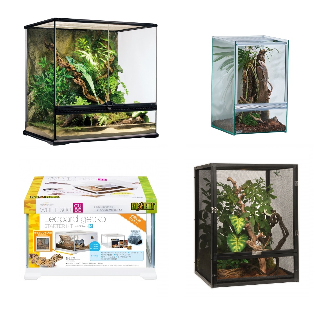 爬虫類用品のお問い合わせ｜ジェックス株式会社