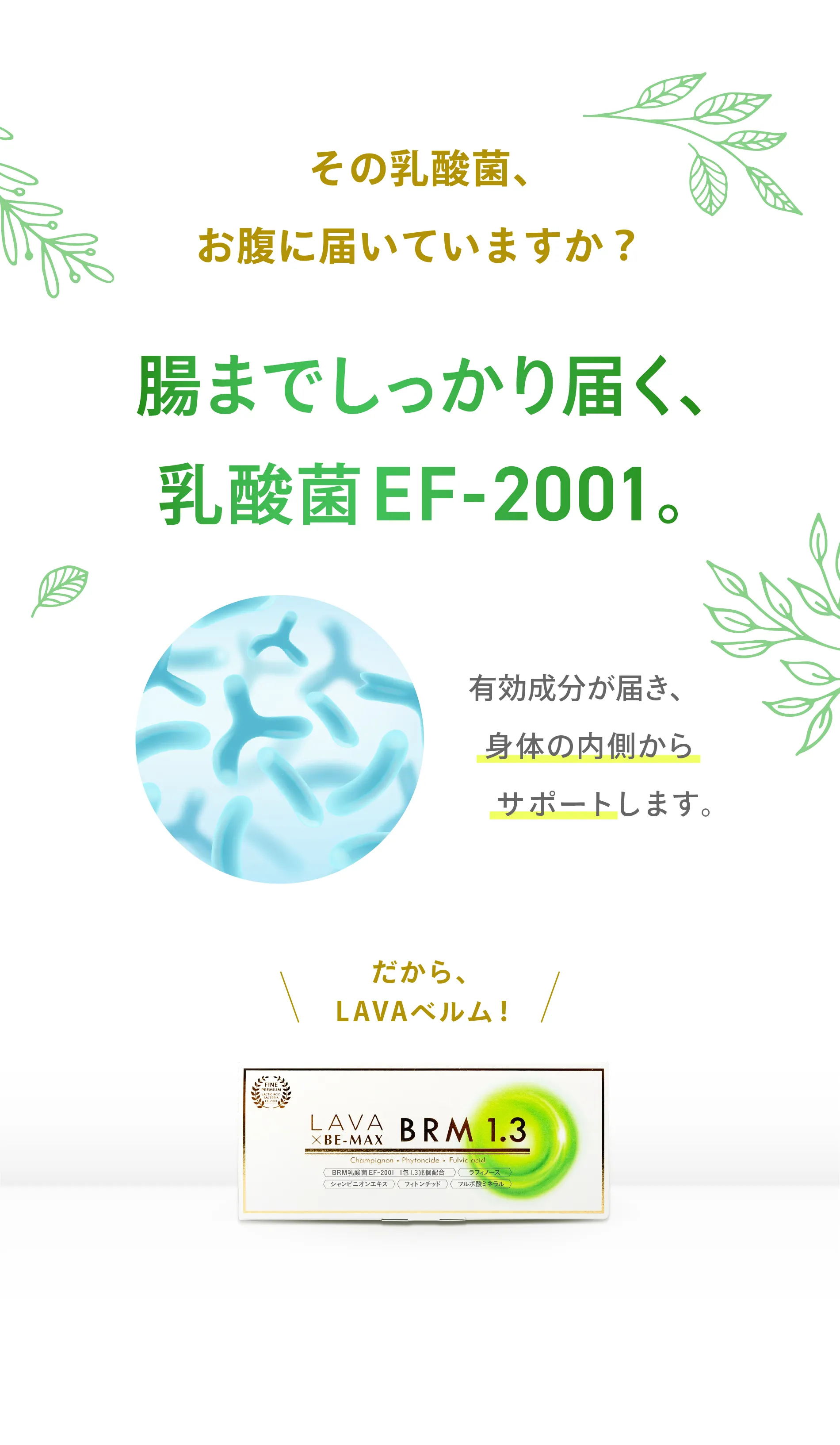 LAVA×BE-MAX BRM 1.3(ラバ×ビーマックスベルム1.3)｜LAVA公式