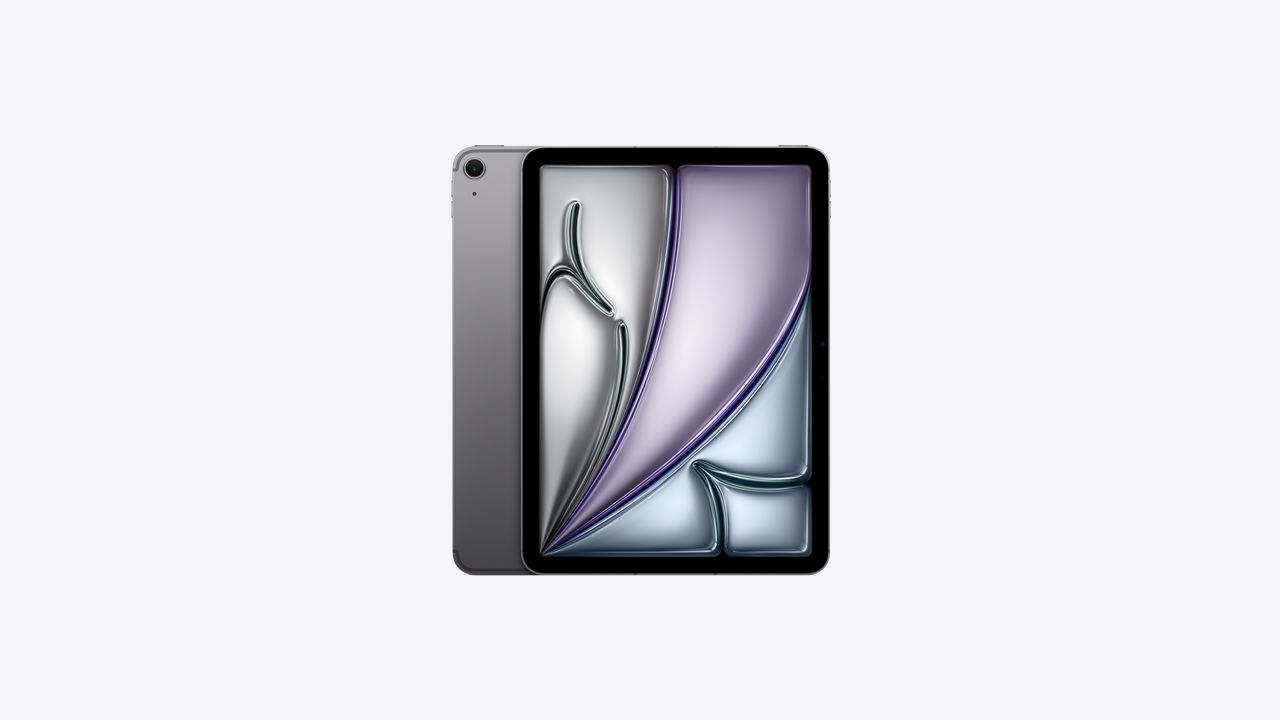 11インチiPad Air Wi-Fi + Cellularモデル 256GB - スペースグレイを