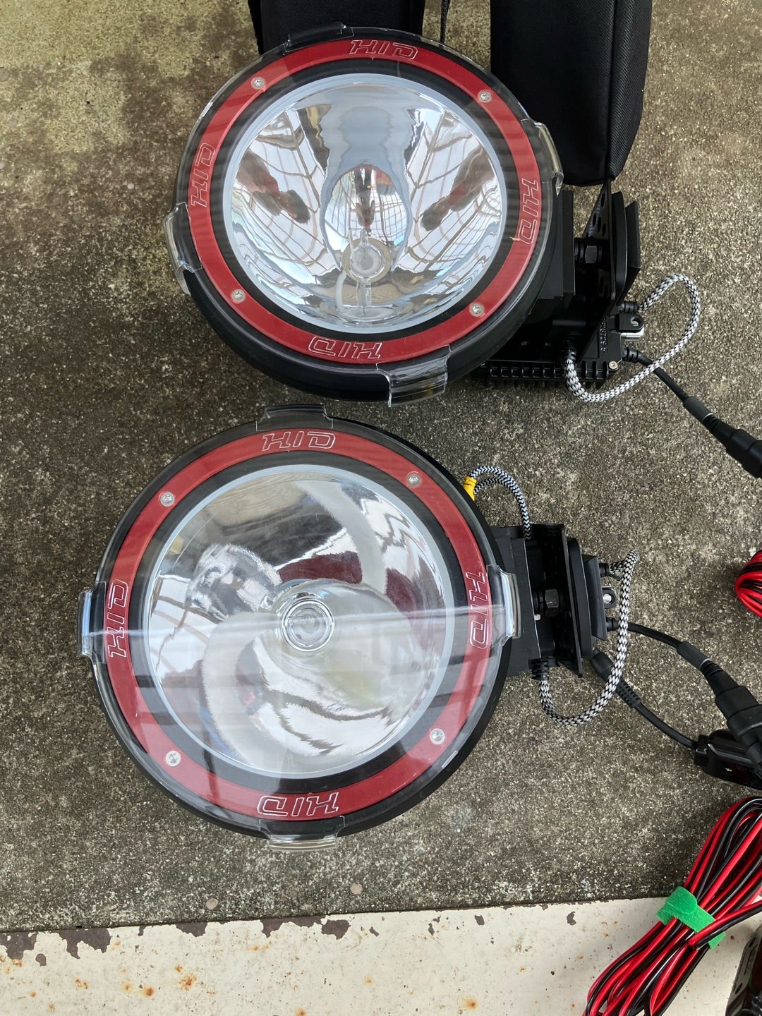 今峰HIDライト‼️ | 【FwooD】昆虫標本専門店 ブログ