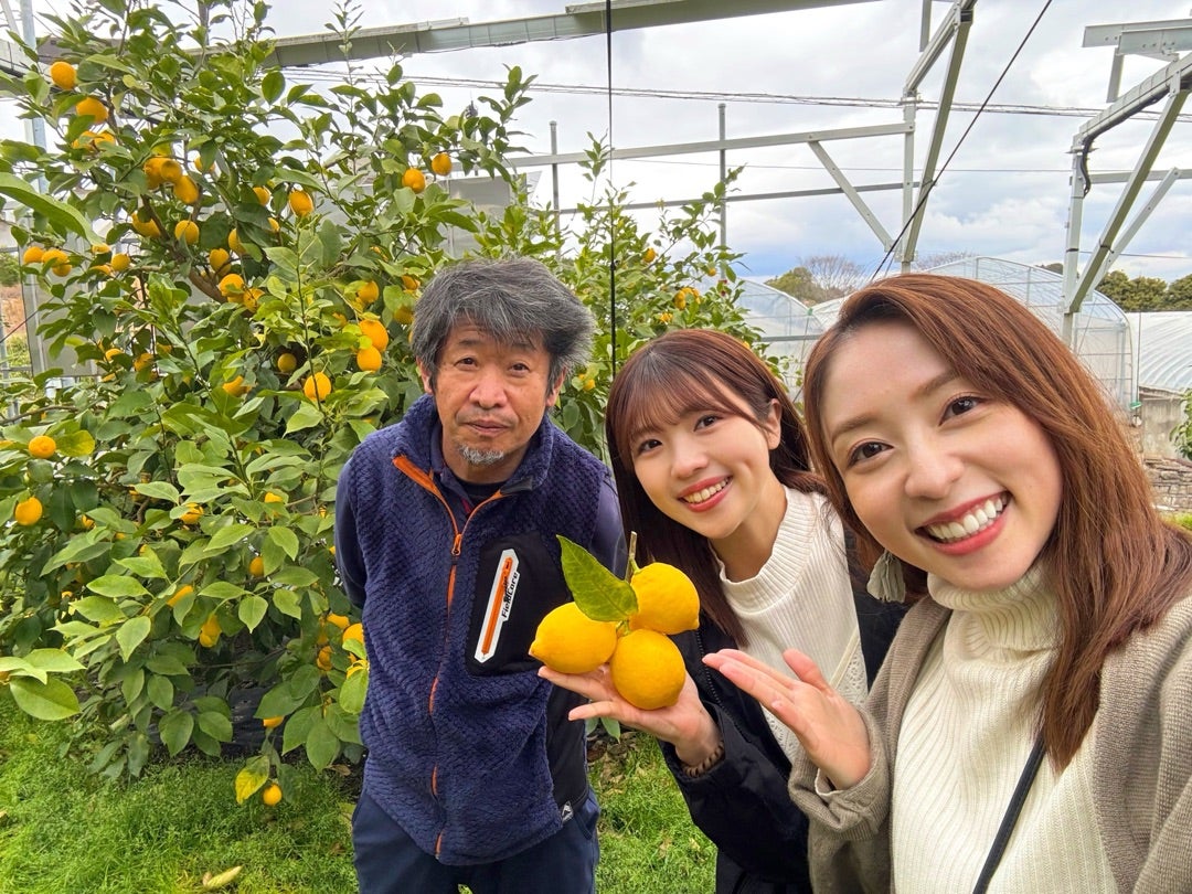 静岡】〜日本平のレモン畑におじゃましました〜 | 鳥越佳那