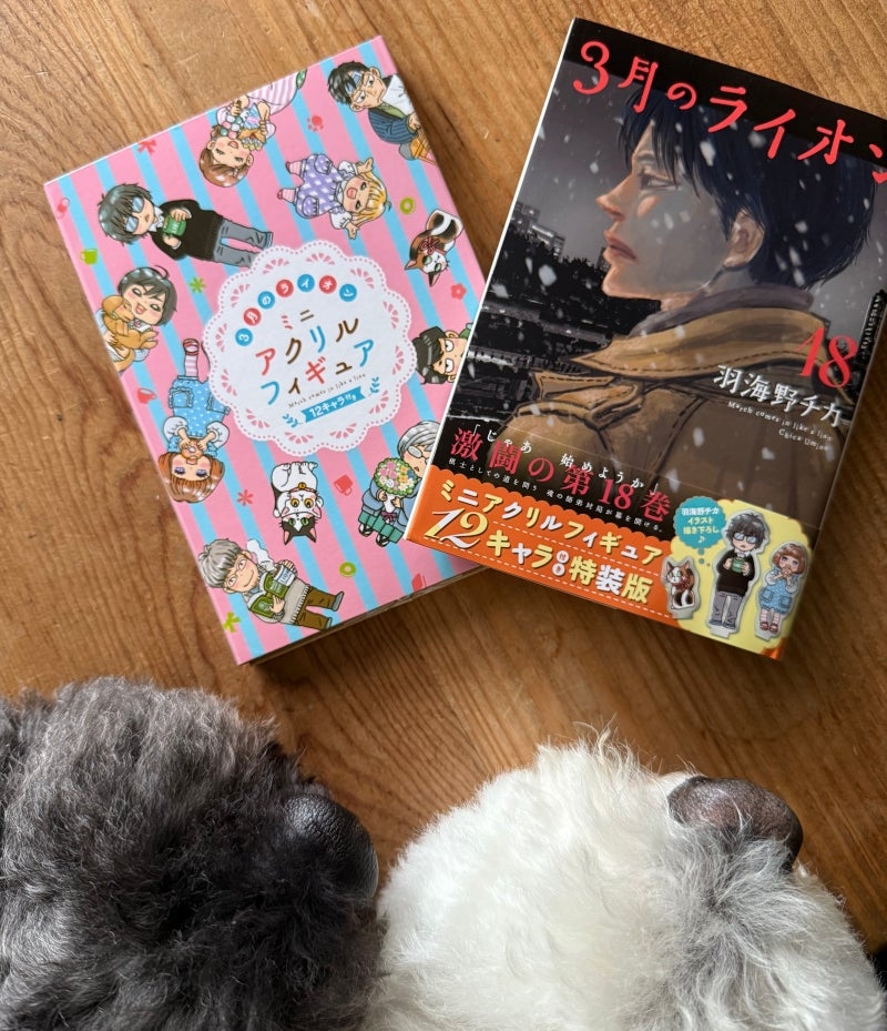 3月のライオン | しろとくろしろ