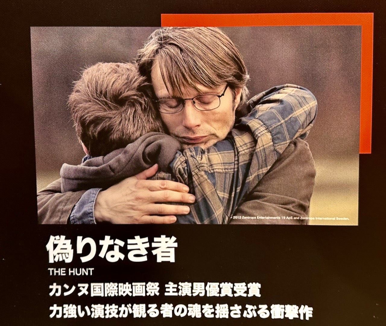 マッツ・ミケルセン主演”偽りなき者” 鑑賞 ＊ネタバレあり