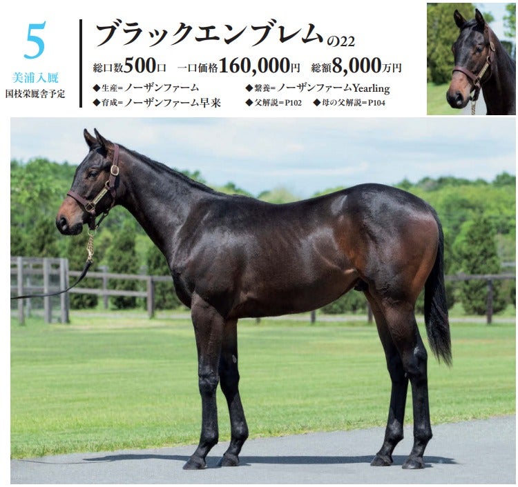 競馬非売品 2020年イクイノックス募集時 カタログ募集時馬体重メモ記載