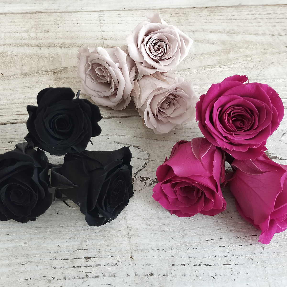 即日☆【プリザーブド】大地農園/いずみ ローズカラーアソート9輪