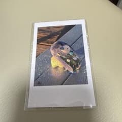 m45581448436_1.jpg?1763827714