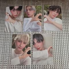 m17477467575_1.jpg?1761955593