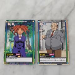 ハンター✕ハンター カードダス カナリア ゼブロ - メルカリ