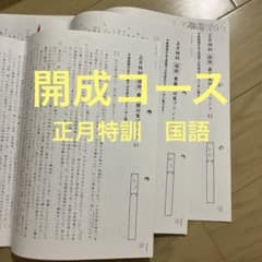 小6 正月特訓 国語 最難関対策プリント01、02、03 SAPIX - メルカリ