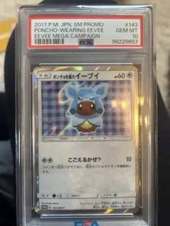 2026年最新】ポンチョを着たイーブイ psa10の人気アイテム - メルカリ
