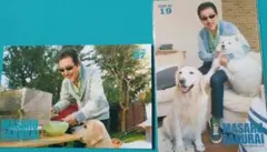 2026年最新】the alfee トレカの人気アイテム - メルカリ