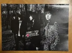 2026年最新】GARNET CRow パンフレットの人気アイテム - メルカリ