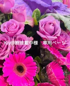 2026年最新】ayako バッグ ポタリの人気アイテム - メルカリ