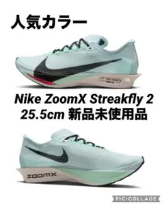 2026年最新】ドラゴンフライ2 25.5の人気アイテム - メルカリ