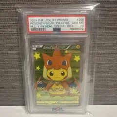 2026年最新】ポンチョを着たピカチュウ リザードンの人気アイテム