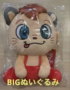 2026年最新】今市隆二 ライジーの人気アイテム - メルカリ