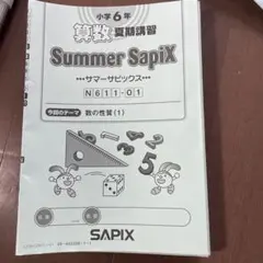 2026年最新】Sapix 6年 夏期講習の人気アイテム - メルカリ
