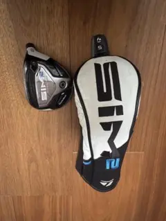 2026年最新】sim 5w ヘッドのみの人気アイテム - メルカリ