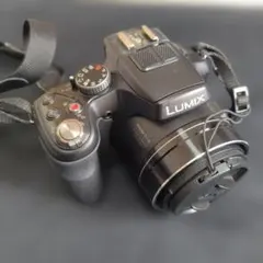 2026年最新】dmc fz2の人気アイテム - メルカリ