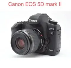2026年最新】canon eos 5d mark ii レンズの人気アイテム - メルカリ