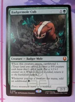 2026年最新】アナグマモグラの仔の人気アイテム - メルカリ