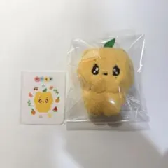 2026年最新】みかんセブチの人気アイテム - メルカリ