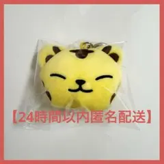 2026年最新】ホシ ぬいぐるみ seventeenの人気アイテム - メルカリ