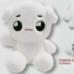 2026年最新】nct ぬいぐるみ 40cmの人気アイテム - メルカリ