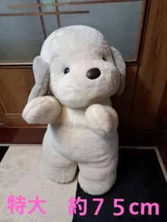 2026年最新】うめ吉 あやかの人気アイテム - メルカリ