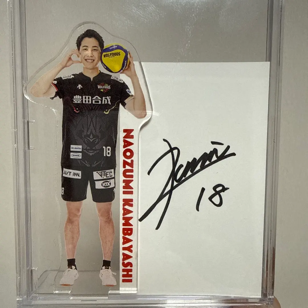 2026年最新】ウルフドッグス名古屋 サインの人気アイテム - メルカリ